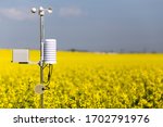Smart agriculture and smart farm technology concept. Weatherstation with anemometer, a meteorological instrument used to measure the wind speed and thermometer, measuring of rainfalll and leaf wetness
