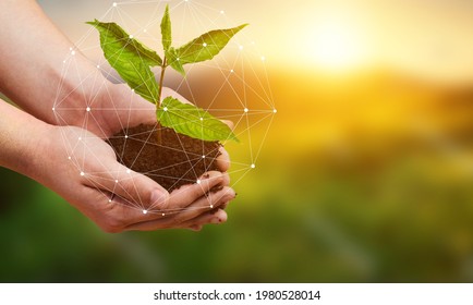 Smart agriculture, green plant product farming technology background