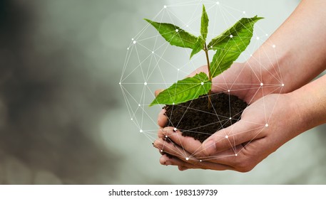 Smart agriculture, green plant product farming technology background - Shutterstock ID 1983139739