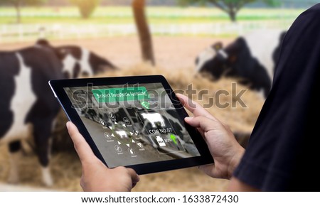 Smart Agritech livestock farming.Hands using digital tablet with blurred cow as background