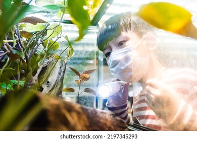 Smart Asian elementary student hold flashlight and point to plants in botany glass aquarium to observe ecology in science class at school. Nature experiment and education. - Shutterstock ID 2197345293