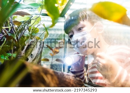 Smart Asian elementary student hold flashlight and point to plants in botany glass aquarium to observe ecology in science class at school. Nature experiment and education.
