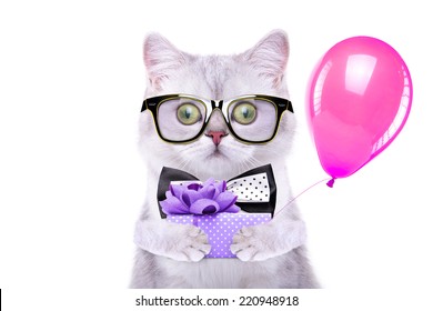 Joyeux Anniversaire Chat Photos Et Images De Stock Shutterstock