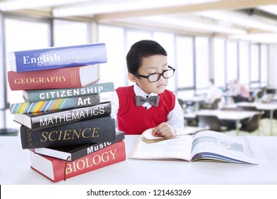 Smart boy with glasses study different literature in the library