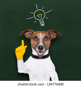 Smart And Clever Dog With A Light Bulb On Blackboard