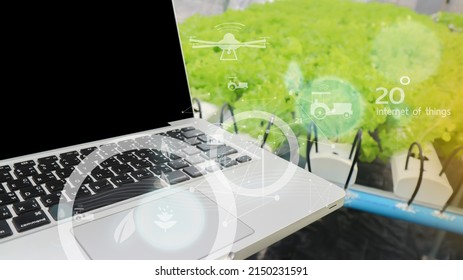 Smart Cultivation, argriculture concept using computers in organic farms with 4.0 technology system infographics.