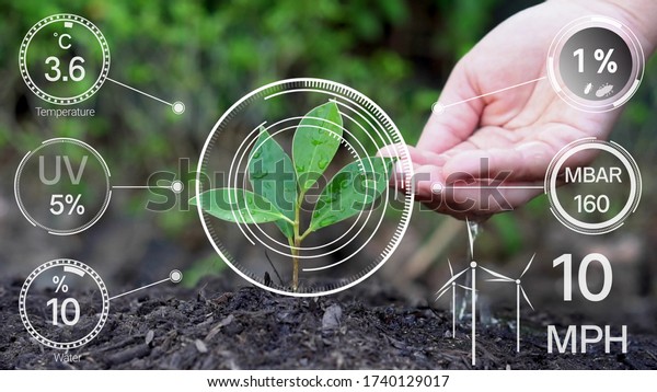 Smart digital agriculture technology by\
futuristic sensor data collection management by artificial\
intelligence to control quality of crop growth and harvest.\
Computer aided plantation grow\
concept.
