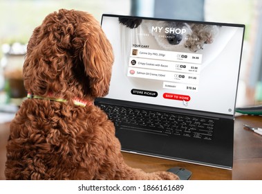 Smart Dog Ordering Products Using An Online Shopping Website. Pet Themed Shopping Card Summary Or Checkout Screen. Concept For E-commerce, Shop Online And Home Delivery. Selective Focus.