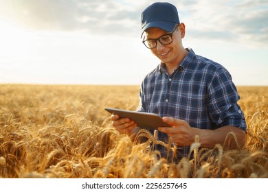 Smart farm. Farmer with tablet in the field. Agriculture, gardening or ecology concept. Harvesting. Agro business.