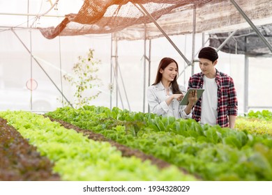 Smart Farm And Farm Technology Concept.Smart Young Asian Farmer  Using Tablet To Check Quality And Quantity Of Organic Hydroponic Vegetable Garden At Greenhouse .