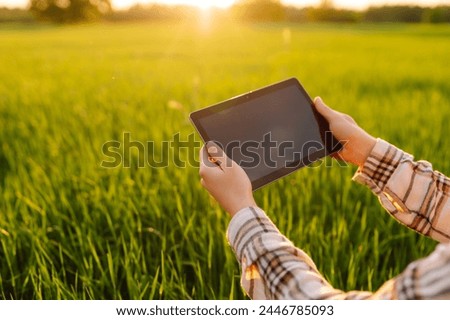 Smart farm. Woman Farmer with tablet in green field. Modern digital technologies. Agronomist at the farm. Business Farm.