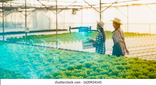 Smart Farm,5G,agriculture,big Data,digital Twin,machine Learning Concept.Farmer Use Drone For Survey For Data Analysis Data By Artificial Intelligence To Hydroponic Farm For Increasing Efficiency.