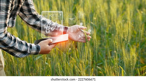 Smart farmer using digital tablet computer and modern interface icons with light shines sunset, Business agriculture technology concept.