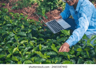 Smart farmer using laptop in eco green farm sustainable quality control. Close up Hand typing laptop computer quality control plant tree. Farmer hands using technology in eco Farmland biotechnology - Powered by Shutterstock