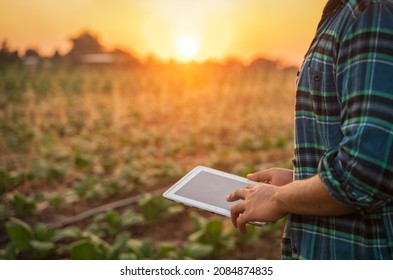 Smart Farmer Using Tablet Control For Irrigation System Working Watering Agricultural Crops Fertilization To Young Plants.smart Farmer,digital Agriculture,technology Agricultural Concept.