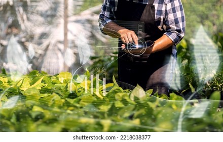 Smart Farmer Using Tablet Iot Technology Analyzing Plant Health Such As Water Soil Moisture And Air Purity Content, Agriculture Plant Botanist Gardener, Holographic Modern Tech Assistance.