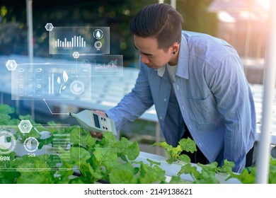 Smart farmer using thermometer technology maintaining agriculture growth farming greenhouse plants researching taking care science development cultivating analyzing flora nature natural vegetation