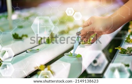 Smart farmer using thermometer technology maintaining agriculture growth farming greenhouse plants researching taking care science development cultivating analyzing flora nature natural vegetation
