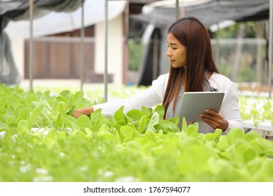 Smart Farmers Are Monitoring Plant Growth To Keep Up With Customer Needs.