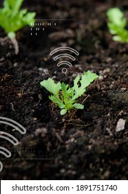 Smart Farming 5.0 Green Plant Product Agricultural Technology