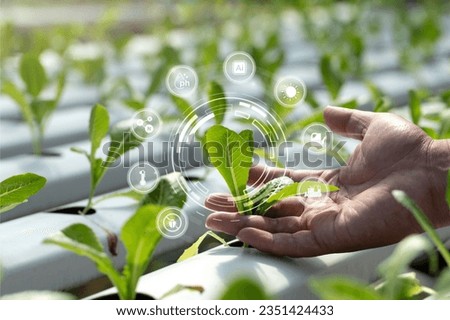 Smart farming agriculture concept.hand holding young plants with graphic concepts of modern agricultural technology, Future 5G technology to analyze agricultural crops.IoT. Internet of things.Ai