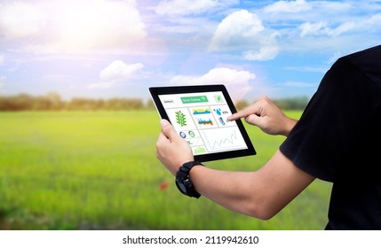 Smart farming argriculture concept.Man hands holding tablet on blurred organic farm as background
