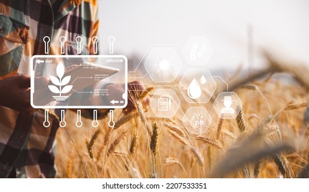 Smart Farming Concept Farmer Technology Digital Stock Photo 2207533351 ...