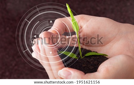 Similar – green senecio leaf in person’s hand macro closeup in nature