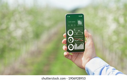 Smart farming and digital agriculture concept. Farmer holding cellphone with gardening data on screen, monitoring soil ph, temperature, performing pest control, panorama with copy space