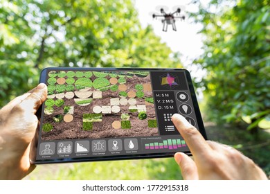 Smart Farming Digital Technology Agriculture App At Farm