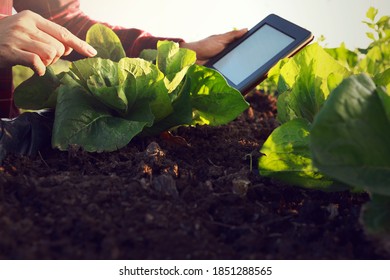 Smart farming using modern technologies in agriculture