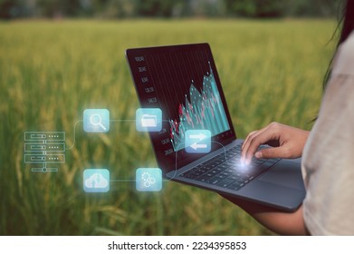 smart framer concept, farmer using computer laptop to analyst data in rice field, collecting analysing data harvesting corp, faming and technology, farming online.