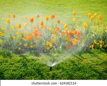 Rasen Wassern Stock Photos Images Photography Shutterstock