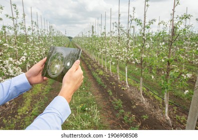 Smart gardening concept. Agrotechnician using touch pad IOT app to perform pest control on fruit trees, outdoors. Creative collage with copy space. Contemporary agritech innovations