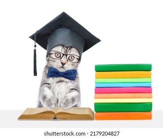 Smart graduate cat wearing graduation hat, eyeglasses and tie bow reads books. isolated on white background