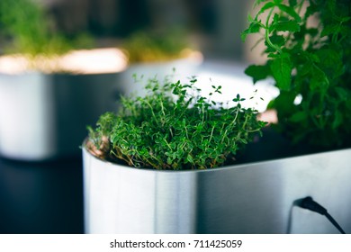 Smart Herb Garden