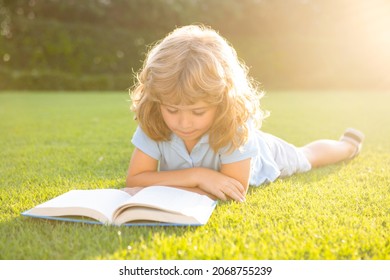 Smart Kids. Little Boy Reading A Book In Summer Sunset Light. Summer Outdoor Kids Education.