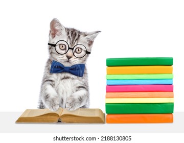 Smart kitten wearing eyeglasses and tie bow reads a book. isolated on white background