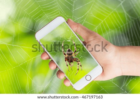 smart phone in hand with spider photo with spider web background 