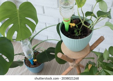 Smart Plastic Bottle Auto Drip Water Irrigation System, Keeps Plants Hydrated During Vacation Period Inside Home