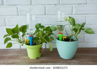 Smart Plastic Bottle Auto Drip Water Irrigation System, Keeps Plants Hydrated During Vacation Period Inside Home