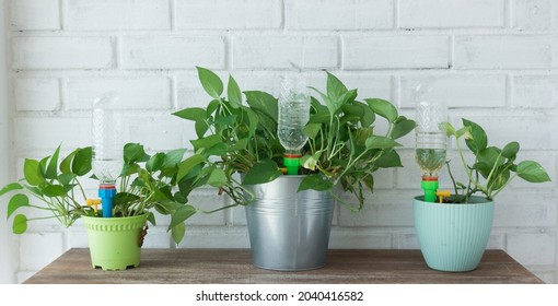 Smart Plastic Bottle Auto Drip Water Stock Photo 2040416582 | Shutterstock