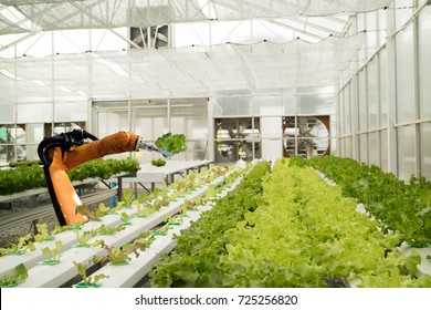 smart robotic in agriculture futuristic concept, robot farmers (automation) must be programmed to work in the vertical or indoor farm for increase efficiency, growing a seed, harvesting, reduce time - Powered by Shutterstock