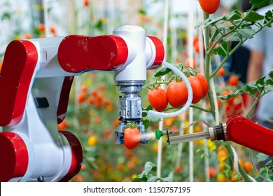smart robotic farmers in agriculture futuristic robot automation to work to spray chemical fertilizer or increase efficiency - Shutterstock ID 1150757195