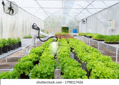 Smart robotic farmers in agriculture futuristic robot automation work water the plants