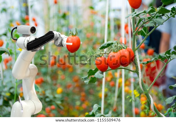 smart\
robotic farmers in agriculture futuristic robot automation to work\
to spray chemical fertilizer or increase\
efficiency