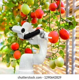 Smart robotic farmers harvest in agriculture futuristic robot automation to work technology increase efficiency - Shutterstock ID 1290642829