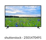 Smart tv with blue cornflowers field on screen