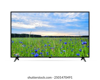 Smart tv with blue cornflowers field on screen