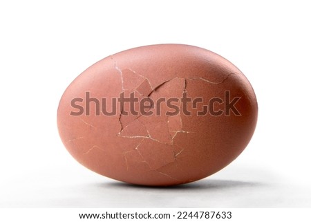 smashed brown egg is broken and injured while lie with crack on ground and show fragility and breakable of life